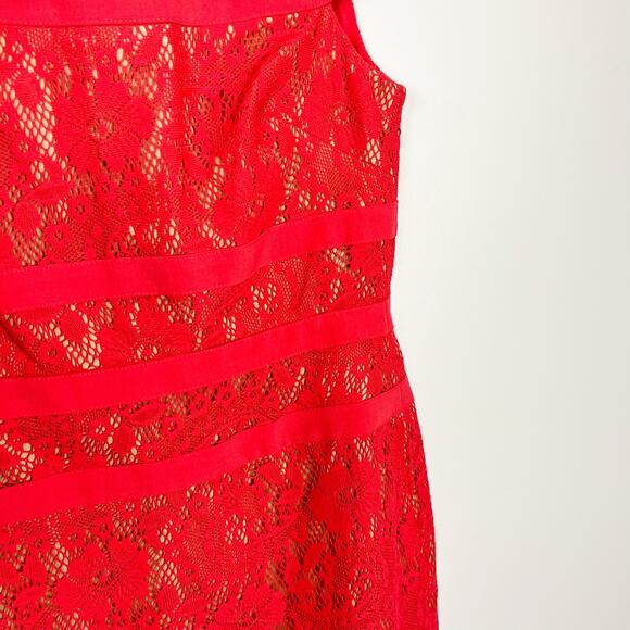 Adrianna Papell Red Coral Lace Sheath Midi Knee Length Cocktail Dress Size US 4 - Picture 4 of 8
